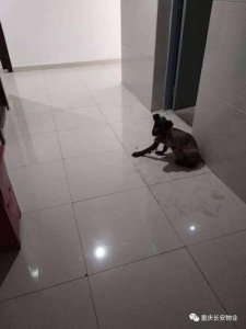 ​上居民家里大小便犯法吗