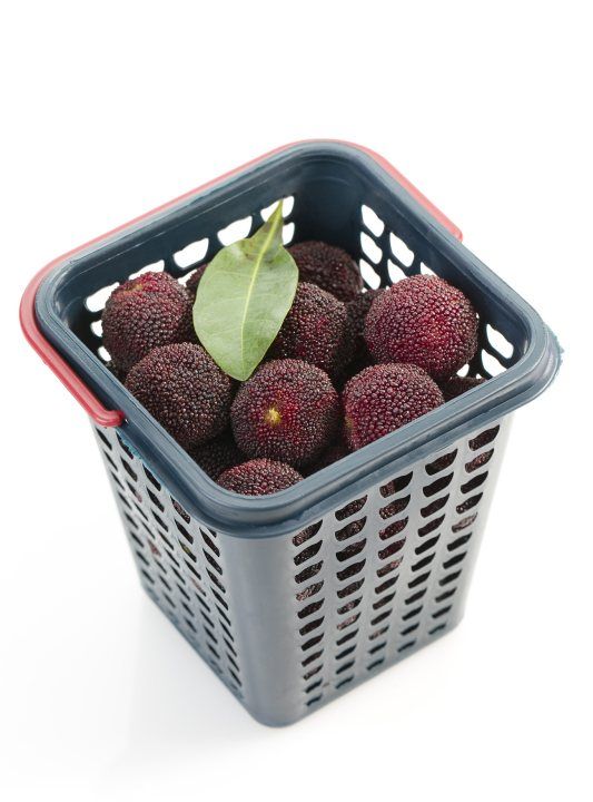 杨梅哪里的最有名,我们中国最知名的四大杨梅产地是哪里图11