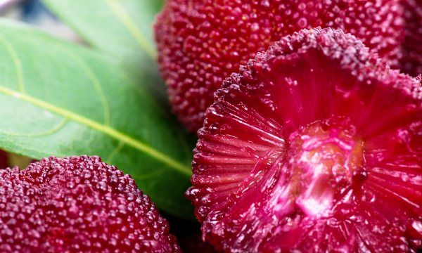 杨梅哪里的最有名,我们中国最知名的四大杨梅产地是哪里图12