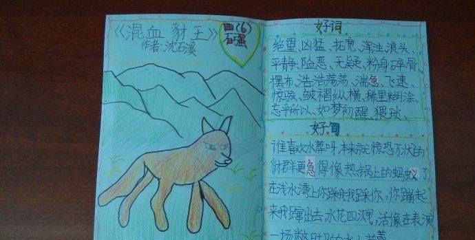 读书卡的内容怎么写