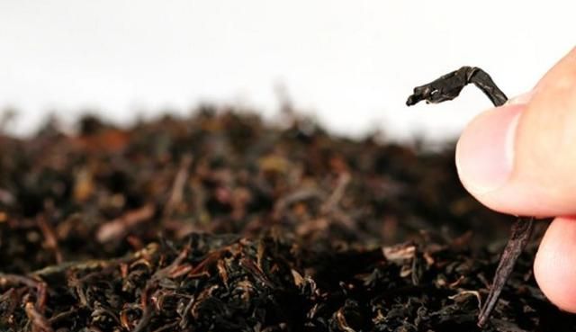 蒲公英怎么泡水喝,问尿路感染蒲公英饮片怎么泡水喝?图11