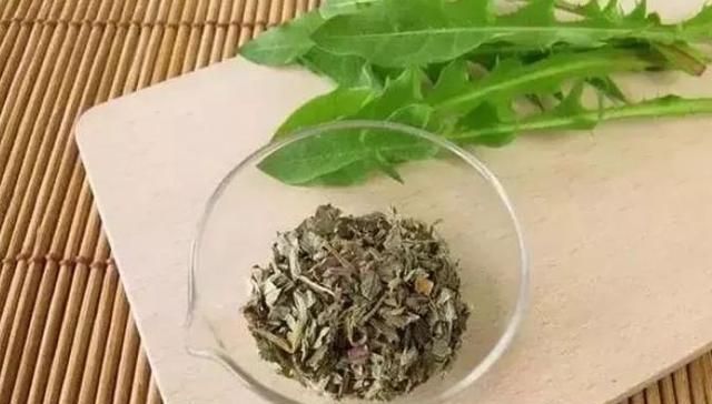 蒲公英怎么泡水喝,问尿路感染蒲公英饮片怎么泡水喝?图4