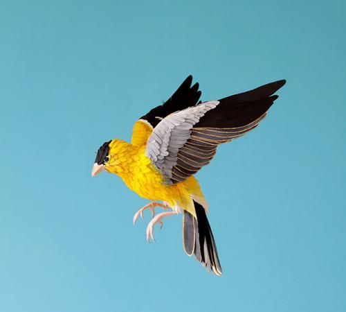 栩栩如生的"栩栩"什么意思