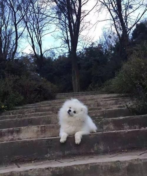 天高云淡的意思