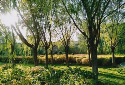 ​关于疫情的激励语言，这次疫情带给你最大的感触是什么？