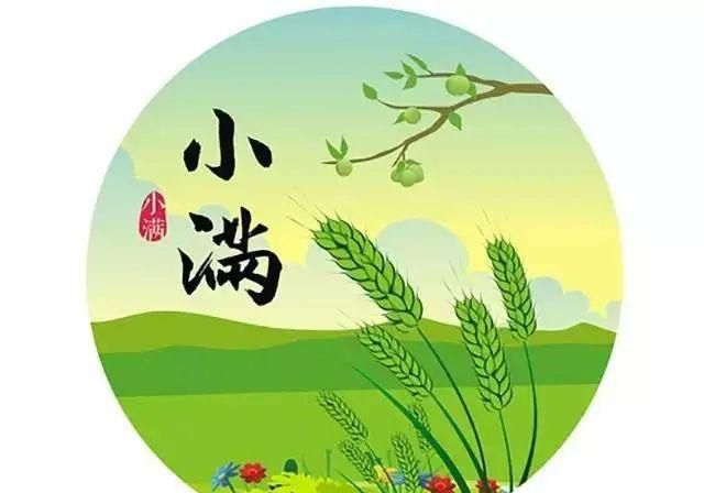 小满是麦子的秋是水稻的夏的含义