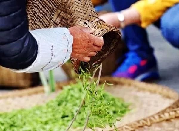 西和县美食，西和县晚霞湖水利风景区值得一去吗？图11