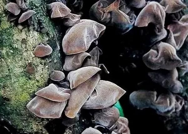 西和县美食，西和县晚霞湖水利风景区值得一去吗？图13