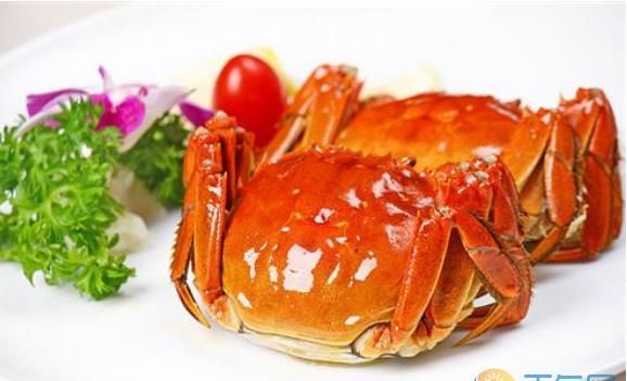 螃蟹吃什么呢怎么养