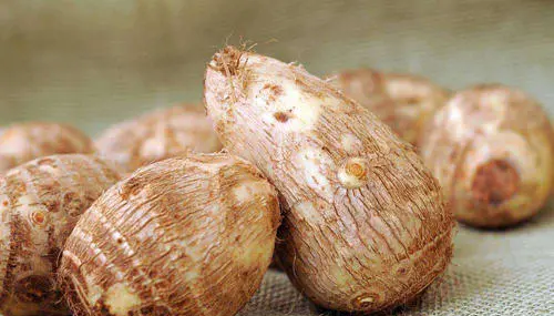 芋头怎么保存,芋头怎么保存方法图5