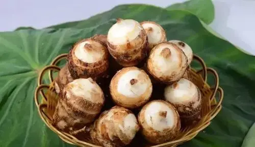 芋头怎么保存,芋头怎么保存方法图6