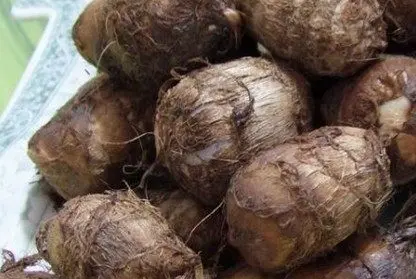 芋头怎么保存,芋头怎么保存方法图7