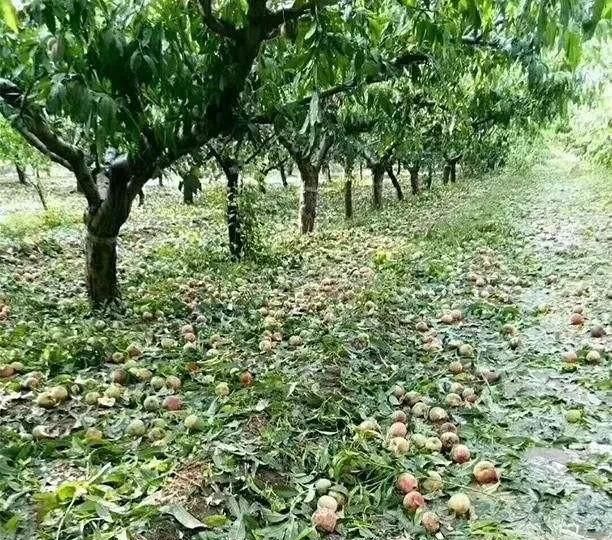 适合立夏发的朋友圈，吃圣代的朋友圈说说？图11