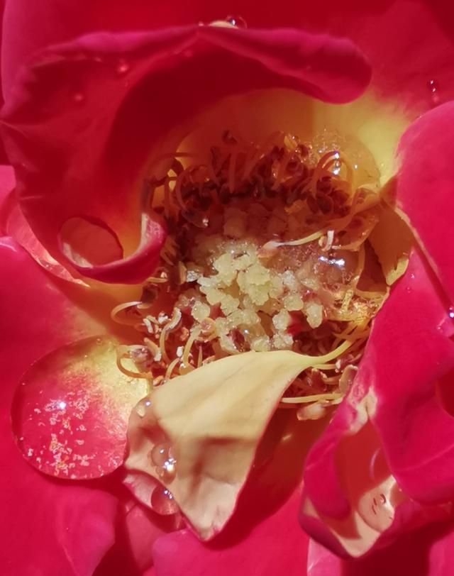 适合立夏发的朋友圈，吃圣代的朋友圈说说？图9