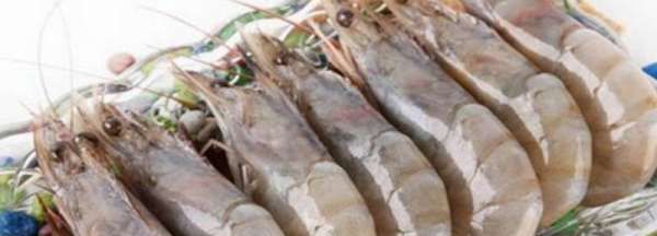 冰冻虾虾头红了是怎么回事,冻虾虾头红色是怎么回事?图1