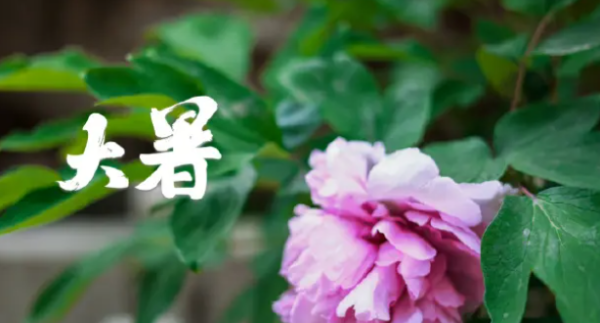 大暑是入伏,小暑是入伏还是大暑是入伏图2