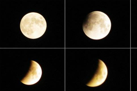 大自然有哪些指南针能辨别方向,大自然有哪些指南针图4