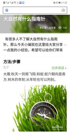 大自然有哪些指南针能辨别方向,大自然有哪些指南针