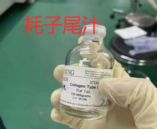 耗子尾汁是什么意思