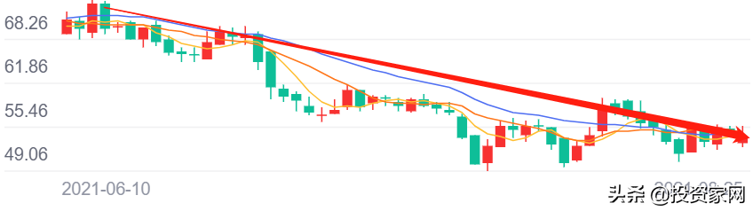 知名艺人钱枫B面:持股5家公司,经营一塌糊涂,有的连社保都不交