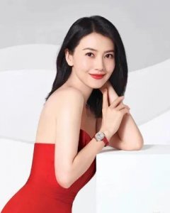 ​国民老婆—高圆圆简历个人资料简介