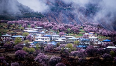 ​定日县海拔多少米高