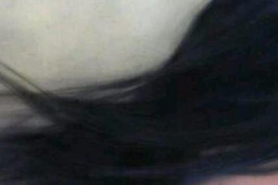 ​秋夜雨寒的全部小说