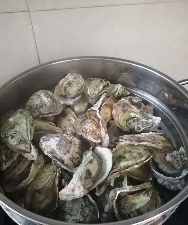 清蒸生蚝最简单的做法,清蒸生蚝家常做法怎么吃图4