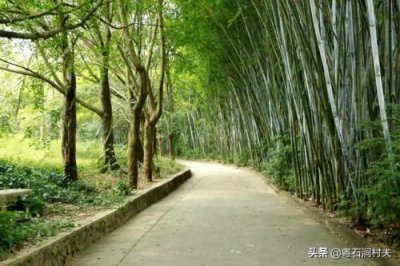 ​鐪熸鐨勪汉绫诲凡缁忔浜嗘槸鐪熺殑杩樻槸鍋囩殑(鐪熸鐨勪汉绫诲凡缁忓湪2