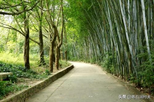 鐪熸鐨勪汉绫诲凡缁忔浜嗘槸鐪熺殑杩樻槸鍋囩殑(鐪熸鐨勪汉绫诲凡缁忓湪2012骞存浜?-绗?寮犲浘鐗?