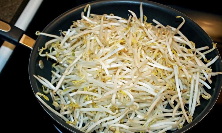 豆芽可以冷冻保存吗