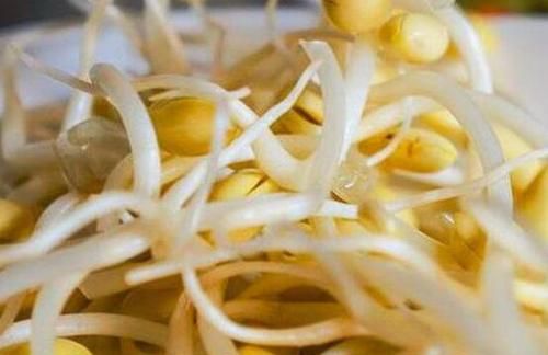 生豆芽能在冰箱保存吗?