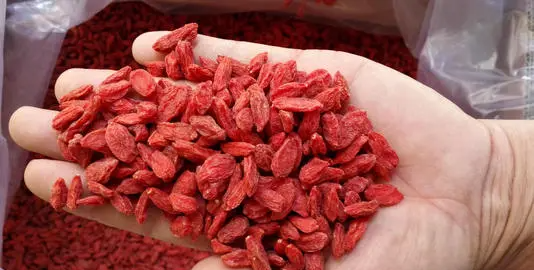 枸杞的保质期是多长时间,黑枸杞的保质期一般是多久图1