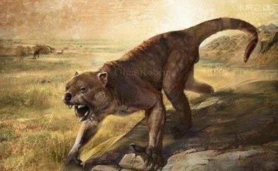 ​如何理解人与自然的和谐关系,如何实现人与自然关系的和谐