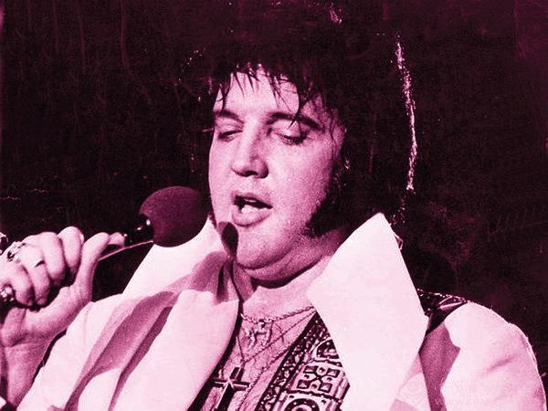 猫王是谁(20岁成名，42岁猝死，被曝睡了3000个女人，猫王的一生传奇又混乱)