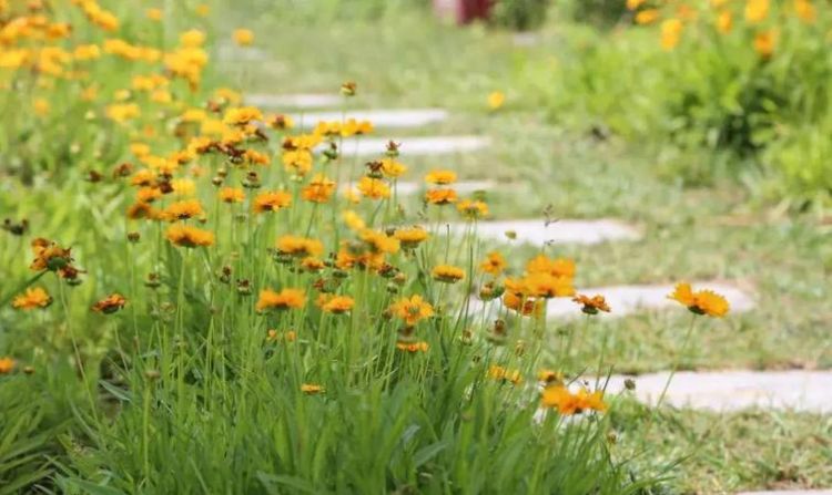 初夏是几月几号2021年