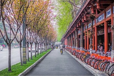 ​武侯祠大街设计图（武侯祠大街的前世今生）