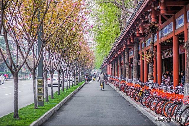 武侯祠大街设计图(武侯祠大街的前世今生)(1)