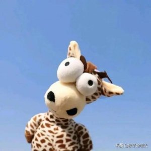 ​红酒泡澡图(红酒能泡澡用吗)