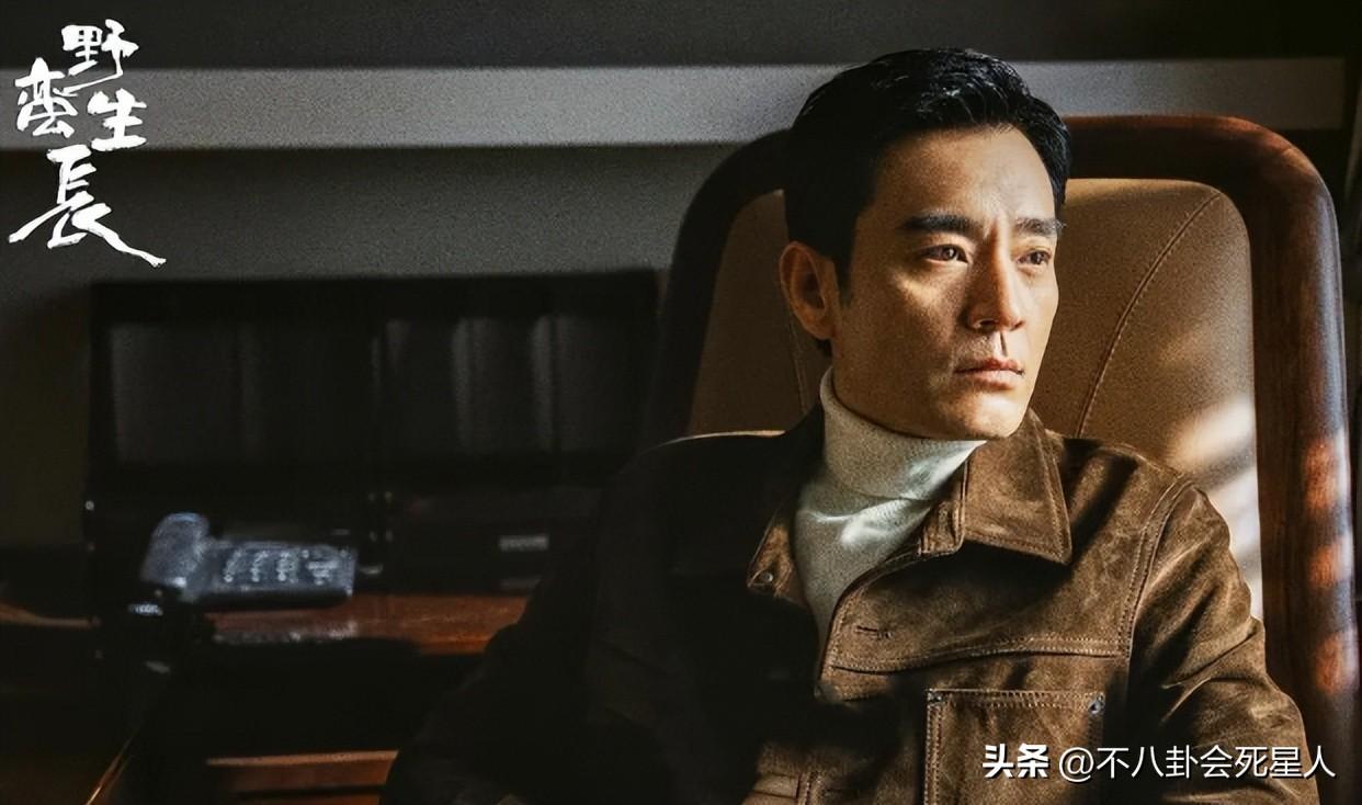 5岁的赵丽颖成功转型,杨幂、刘诗诗要加油了"