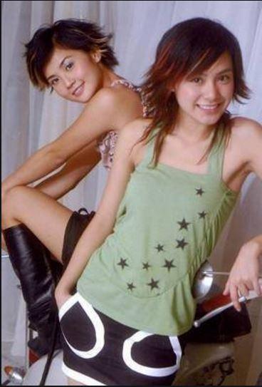 中国十大最有名的女团组合:之TWINS