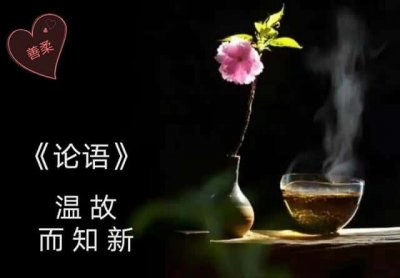 ​论语中的温故而知新的故是什么意思（温故而知新的故是什么意思）