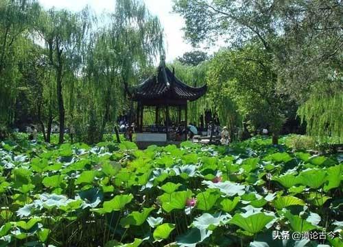 拙政园历史简介(拙政园的历史背景)
