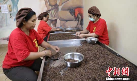 猫屎咖啡的品牌(猫屎咖啡原产地是哪个国家)