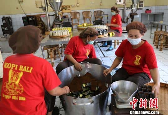 猫屎咖啡的品牌(猫屎咖啡原产地是哪个国家)