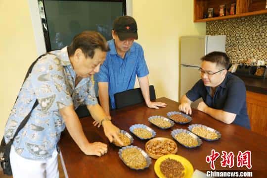 猫屎咖啡的品牌(猫屎咖啡原产地是哪个国家)
