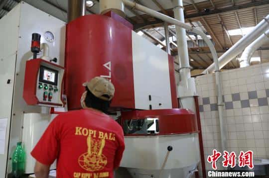 猫屎咖啡的品牌(猫屎咖啡原产地是哪个国家)