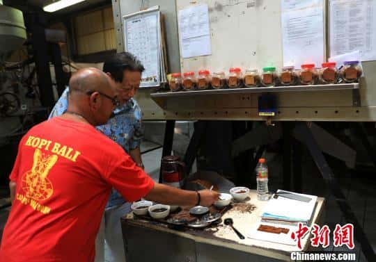 猫屎咖啡的品牌(猫屎咖啡原产地是哪个国家)