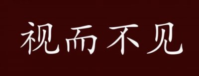​视而不见兄来到打一个字(视而不见兄来到打一动物)