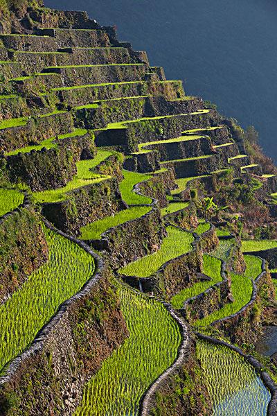 菲律宾有多大-（菲律宾多大面积位置在哪）